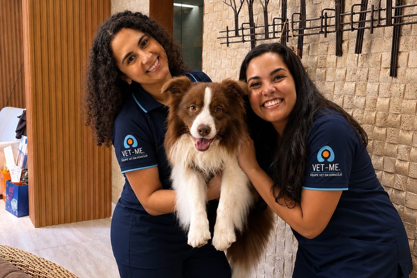 Equipe Vet-Me com o pet no conforto de casa