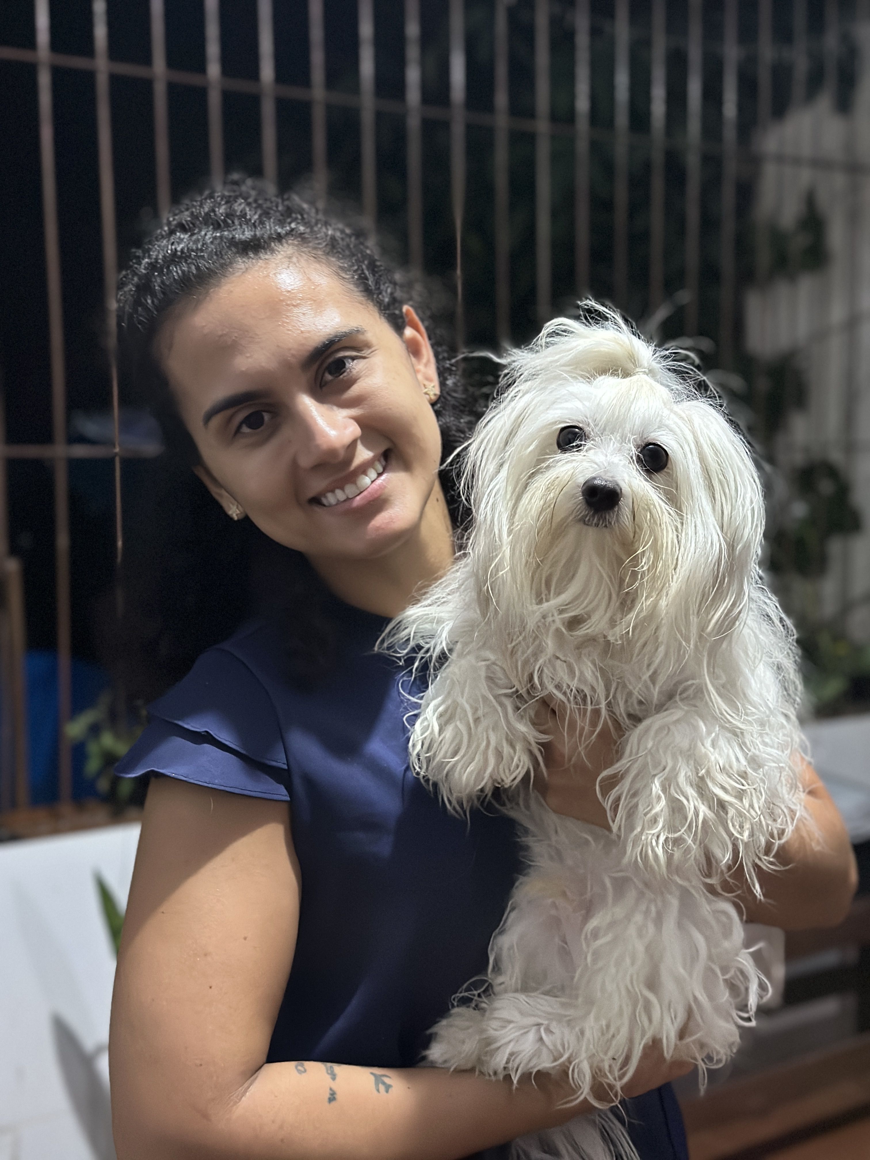 Animais Silvestres